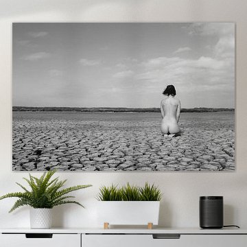 Akt auf einem ausgetrockneten See bei extremer Dürre in den Niederlanden