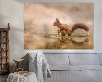 écureuil dans l'eau sur Ina Hendriks-Schaafsma