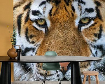 Tiger Portrait by Harry Eggens