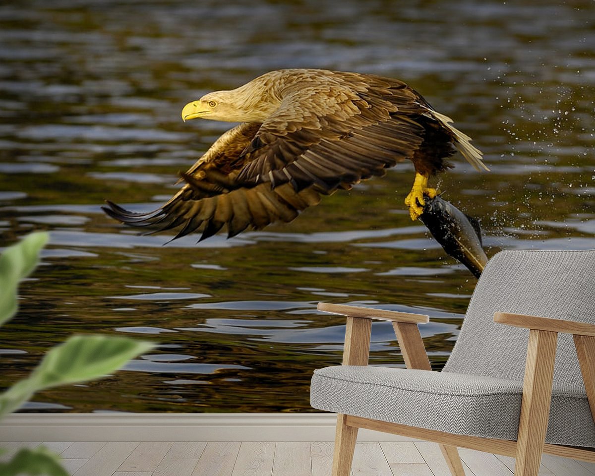 Raumvorschau