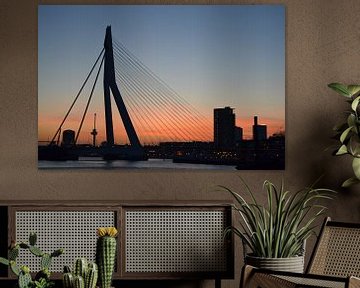 Erasmusbrücke und Euromast Rotterdam. von Aletta Smits-Hessels