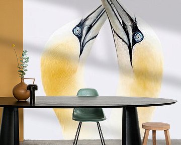 Liefde tussen twee Jan van Genten (Morus bassanus).  Love birds. van Albert Beukhof