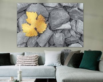 Een geel verkleurd herfstblad op grijze leistenen van Bas Meelker
