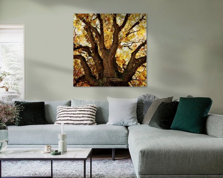 Impression: Chêne en automne sur Ines van Megen-Thijssen
