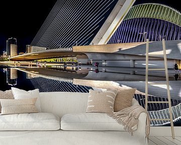 Moderne  brug in de Spaanse stad Valencia van Harrie Muis