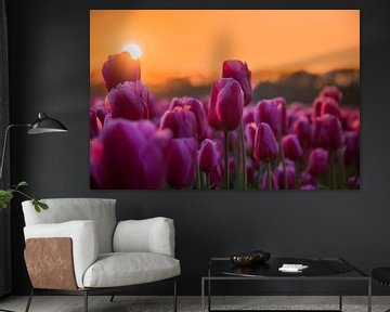 Tulpen in Holland von Wilco Bos