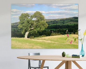 Baum in Landschaft, Cotswolds (England) von Leendert de Vink