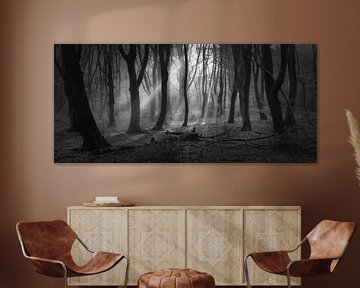 Mysterious Speulderforest.Oerbos. Award winning picture van Saskia Dingemans Awarded Photographer