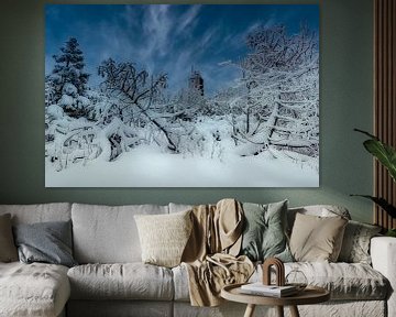 Fichtelberg in de sneeuw van Johnny Flash