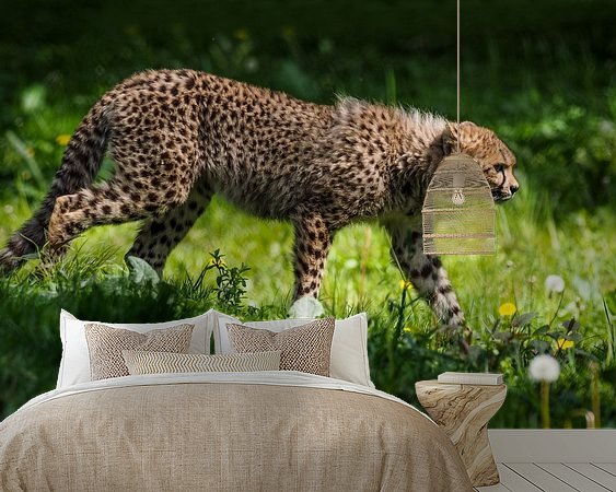 Aperçu de la chambre