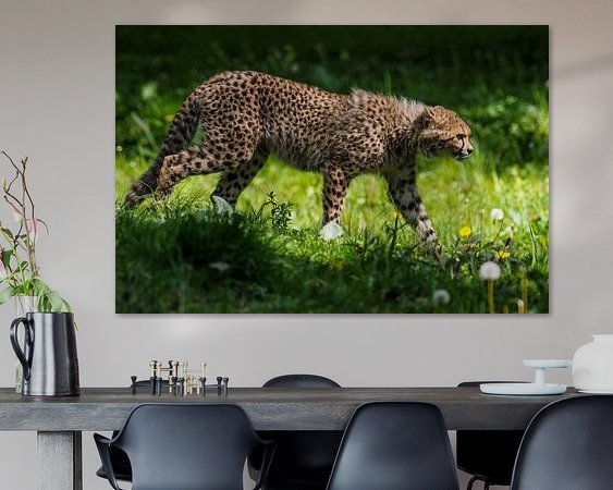 Aperçu de la chambre