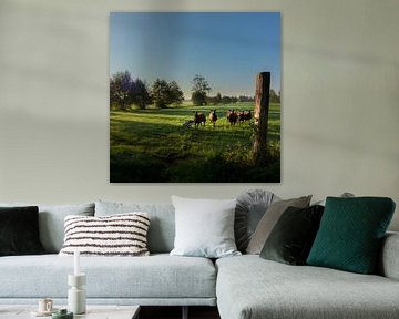 Mouton dans la prairie sur Bo Scheeringa Photography