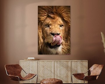 Portrait d'un lion sur Bas Meelker