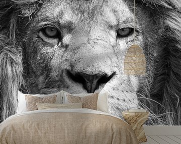 Black and white portrait of a powerful male lion by Bas Meelker