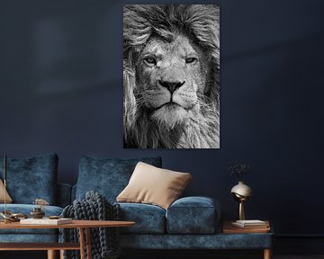 Zwart-wit portret van een krachtige mannetjes leeuw van Bas Meelker