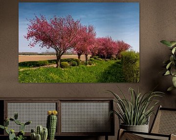 Rij bomen met lente bloesem van Bram van Broekhoven