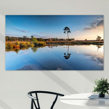 Tourbières Overhasseltse et Hatertse