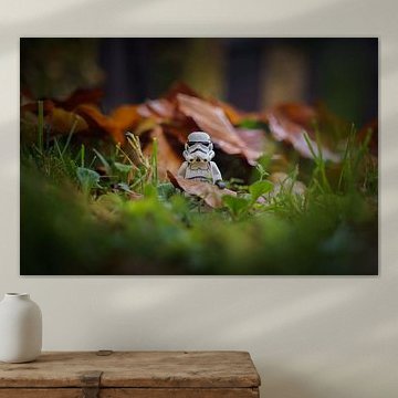 Stormtrooper im Herbst