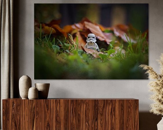 Aperçu de la chambre