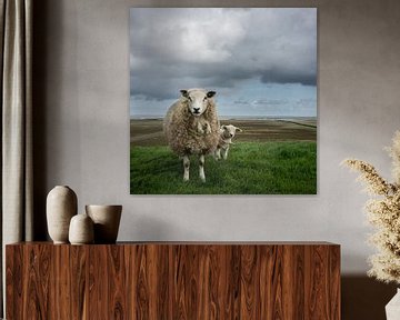 Moutons sur le Waddendijk de Groningen sur Bo Scheeringa Photography