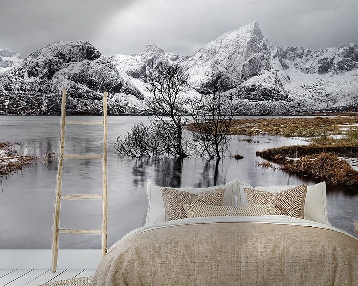 Impression: Réflexion des arbres dans le lac devant une chaîne de montagnes hivernale sur Ralf Lehmann