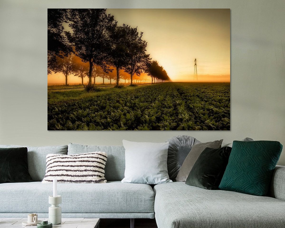 Voorbeeld van het werk in een kamer