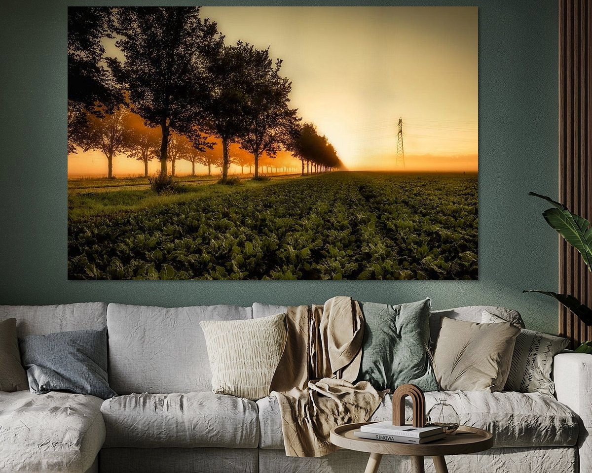 Voorbeeld van het werk in een kamer