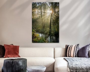 Natuur foto van bos met de ochtenzon van Nicole Jenneskens