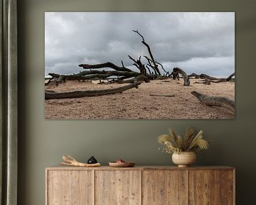 Toter Baum auf der Hoge Veluwe von Dick Doorduin