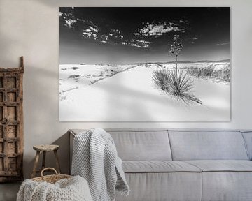 White Sands Impression | Monochroom van Melanie Viola
