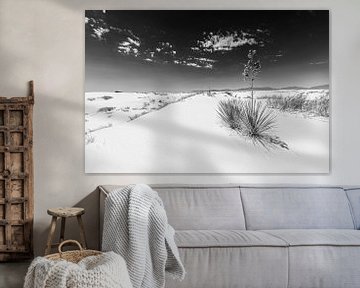 Impression White Sands  | Monochrome sur Melanie Viola