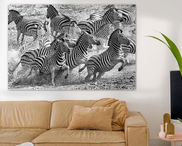 Zebra Escape by Angelika Stern