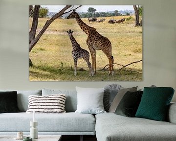 Mother and calf giraffe in Serengeti by Julie Brunsting