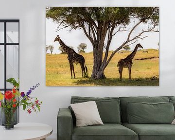 Giraffen in Serengeti van Julie Brunsting