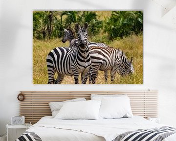 Zebras in der Serengeti von Julie Brunsting