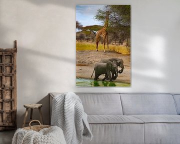 Giraffe and elephants at waterhole in Serengeti by Julie Brunsting