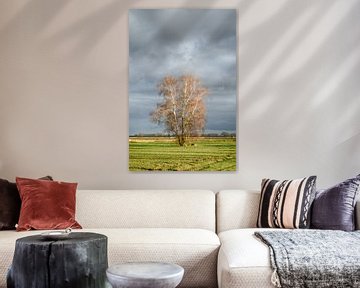 Wunderschöner Baum von Mark Bolijn