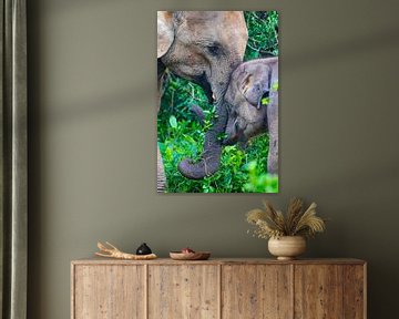 Aziatische olifant met kalf in Sri Lanka van Julie Brunsting