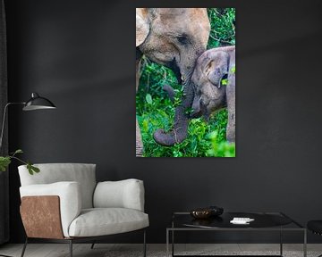 Eléphant d'Asie avec son petit au Sri Lanka sur Julie Brunsting