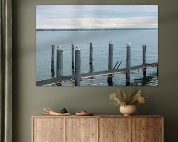 Gulls resting on poles in the lake by Idema Media