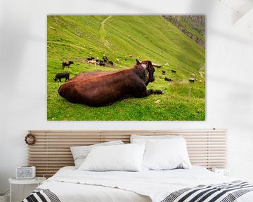 Bruine koe liggend op een groene alpenweide van Steven Van Aerschot