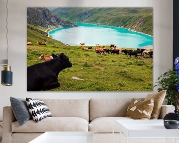Koeien aan het stuwmeer van Moiry van Steven Van Aerschot