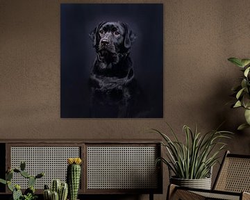 Black Labrador van Alex Hiemstra