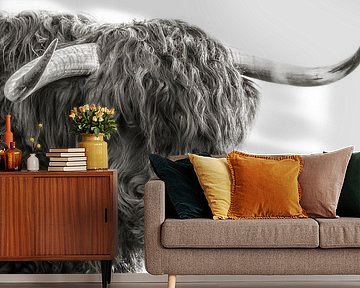 Scottish Highlander by Karel Ton