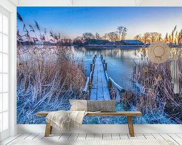 Dutch winter landscape by Eelco de Jong