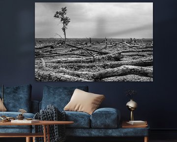 Arbre solitaire Oostvaardersplassen sur Catstye Cam / Corine van Kapel Photography