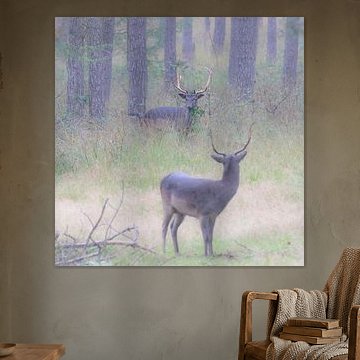 Brunstzeit der Hirsche in der Veluwe von Ad Huijben