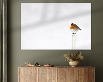 Robin dans la neige en hiver sur Bas Meelker