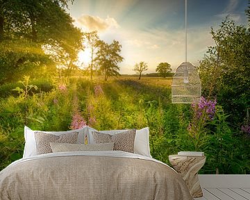 A field of willow flowers in summer in Drenthe with beautiful light. by Bas Meelker