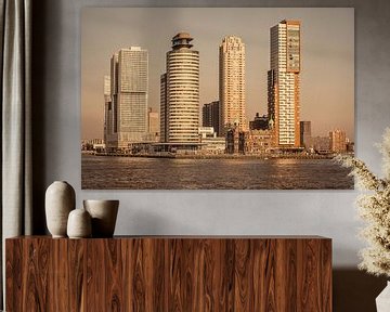 Skyline Rotterdam, hotel New York van Susan van der Riet